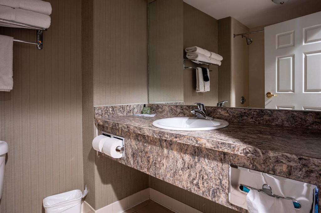 D. Hotel Suites & Spa Holyoke Dış mekan fotoğraf